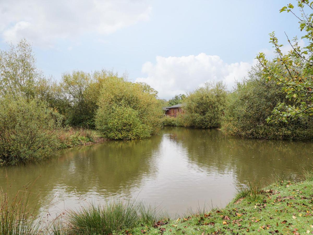 Braeburn Lodge Winkleigh Екстериор снимка