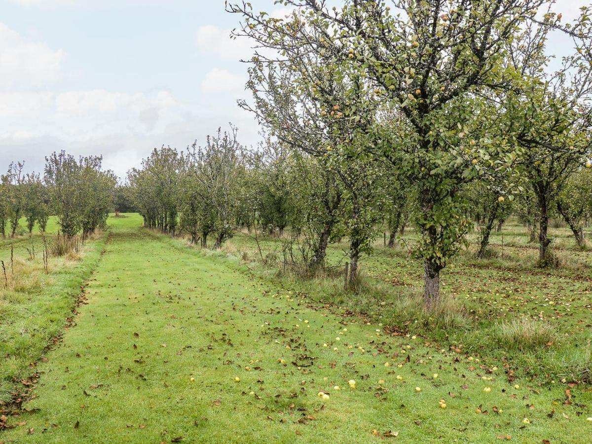 Braeburn Lodge Winkleigh Екстериор снимка